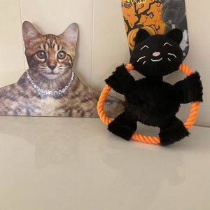 🦃 Brand new in packaging elite pet spook woof Halloween pet toy black cat!